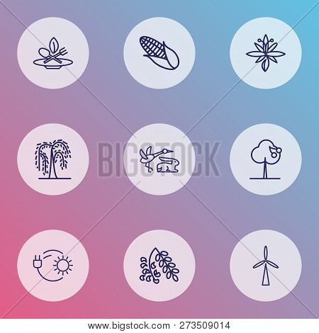 Ecology Icons Line Style Set With Eco Food, Cherry Tree, Lily And Other Fruit Tree Elements. Isolate