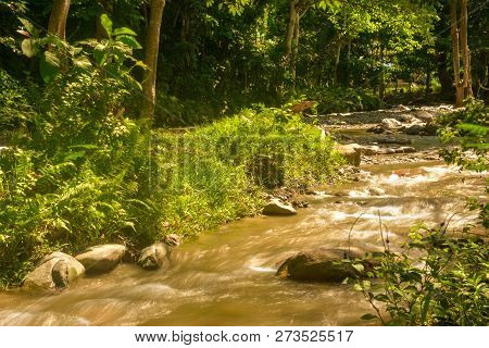 The Beautiful Paniki River With Its Gentle Flow And Brownish Yellow Water During The Rainy Season