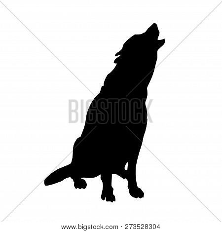 Silhouette Of Howling Gray Timber Wolf. Vector Illustration Isolated On White Background