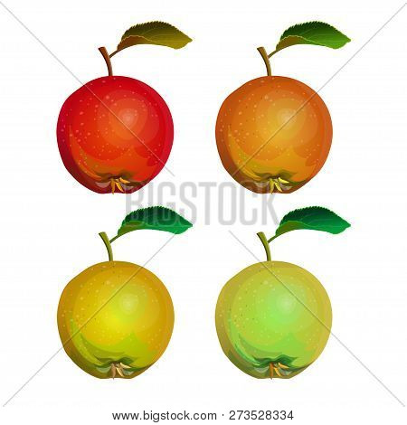 Collection Of Apples With Leaf: Red, Green And Yellow. Vector Illustration Isolated On White Backgro