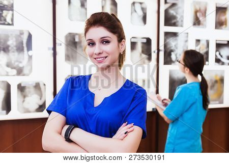 Group Of Doctor Studying The Sections Of The Brain. The Concept Of Health Education. Students In The