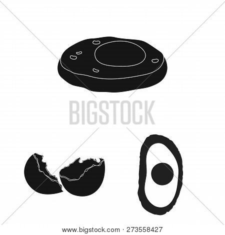Vector Design Of Egg And Breakfast Icon. Set Of Egg And Meal  Vector Icon For Stock.