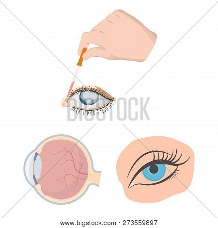 Vector Illustration Of Medical And Eyeball Symbol. Collection Of Medical And Optical Vector Icon For