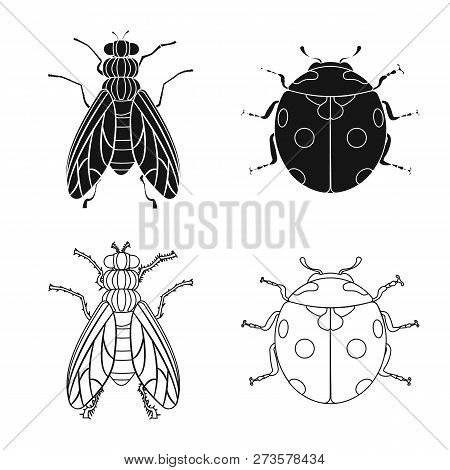 Isolated Object Of Insect And Fly Icon. Set Of Insect And Element Vector Icon For Stock.
