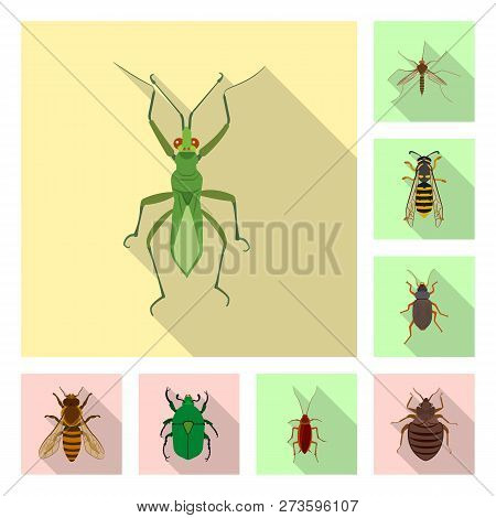 Vector Design Of Insect And Fly Icon. Set Of Insect And Element Vector Icon For Stock.
