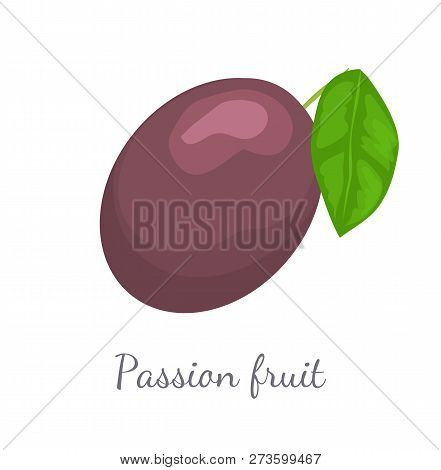 Passionfruit With Leaf, Exotic Juicy Fruit Vector Isolated. Maracuja, Parcha, Grenadille Or Fruits D