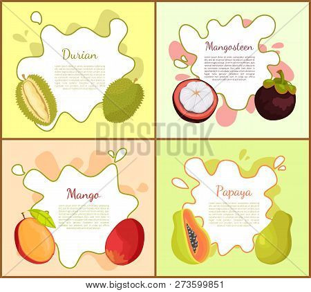 Durian, And Mangosteen, Ripe Succulent Mango And Papaya With Seeds. Posters With Text Sample Set Of 