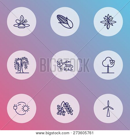 Landscape Icons Line Style Set With Eco Food, Cherry Tree, Lily And Other Fruit Tree Elements. Isola