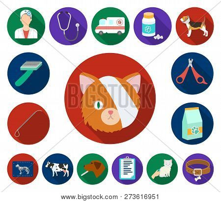 Veterinary Clinic Flat Icons In Set Collection For Design. Treatment Of A Pet Vector Symbol Stock We