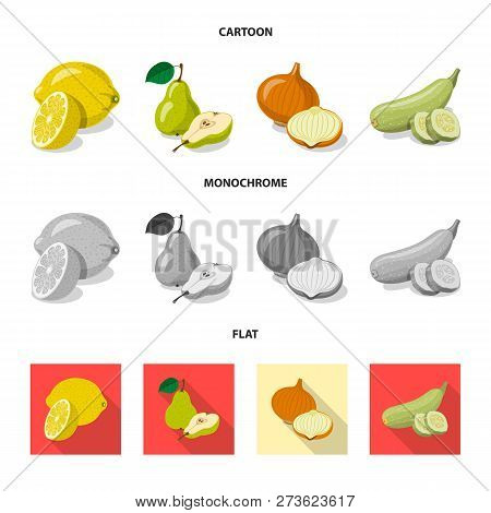 Vector Design Of Vegetable And Fruit Icon. Set Of Vegetable And Vegetarian Stock Vector Illustration
