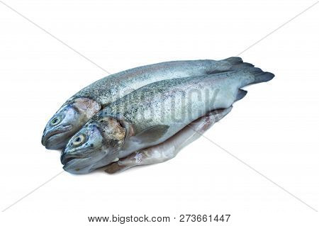 Fish Rainbow Trout, Isolated On A White Background. Two Trouts Over White Background. Fish With Copy