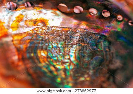 Close-up Of Mother Of Pearl. Multicolor Texture Of Seashell, Multicolor Nacre Texture. Colored Nacre