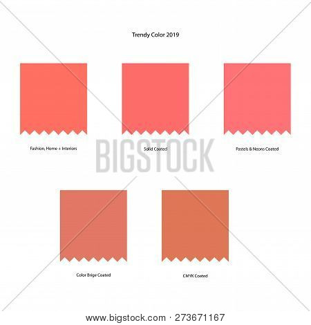 Trendy Color Scheme By Plain Color Patches