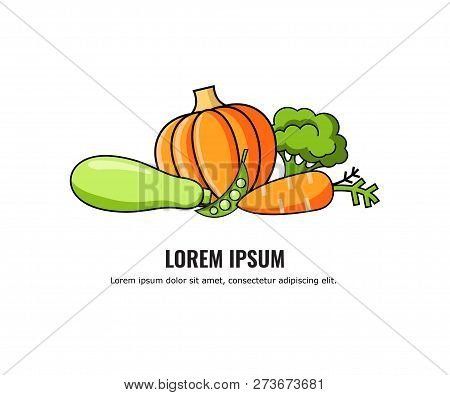 Vector Of Healthy Food Design With Vegetables: Carrot, Pumpkin, Zucchini, Broccoli. Vector Illustrat