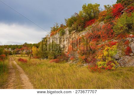 Autumn Colours On Display In The Carso Karst Limestone Area Of Friuli, Near Doberdo In North East It