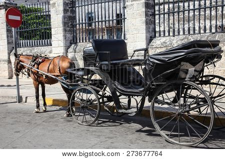 Horse And Vintage Coach Waiting The Passengers Close To Fence, Outdoors. Retro, Vintage Transport.
