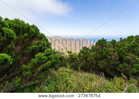 View Of The Macizo De Anaga Mountain Range. Tenerife. Canary Islands. Spain.