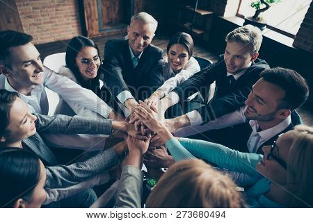 Occupation Handshake Community Mature Senior Parters Concept. Close Up View Photo Of Excited Celebra