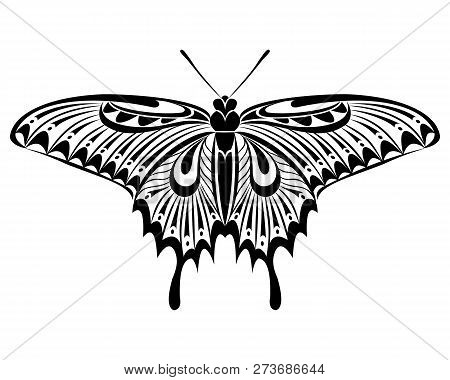 Papilio Maackii Butterfly Vector Art Stencil For Tattoo Or T-shirt Print
