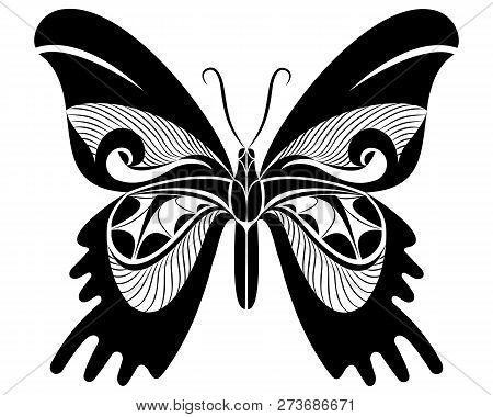Urania Ripheus Butterfly Vector Art Stencil For Tattoo Or T-shirt Print