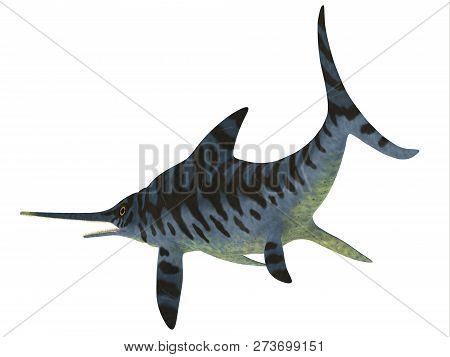 Eurhinosaurus Reptile Tail 3d Illustration - Eurhinosaurus Was A Carnivorous Ichthyosaur Reptile Tha