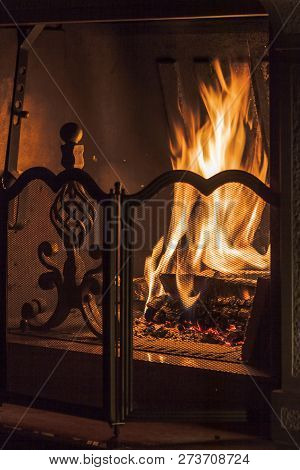 Flames In The Fireplace From Carbonized Wood