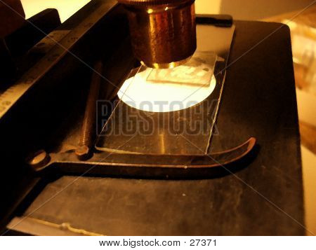Microscope 21