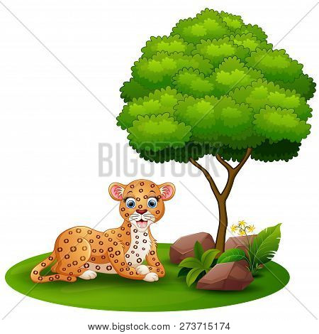 Cartoon Leopard Lay Down Under A Tree On A White Background