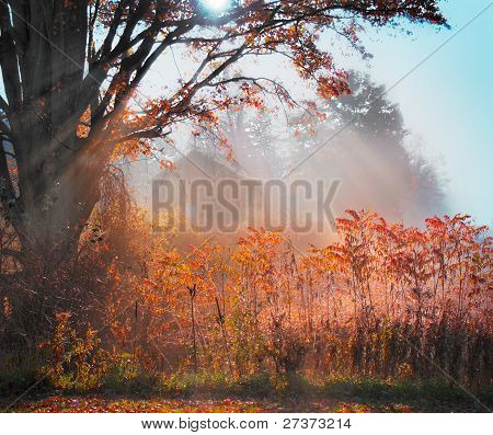 Land-Kirche