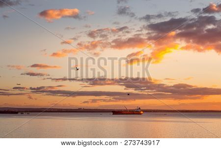 Cargo Ships In Botany Bay At Sunset With Pretty Skies Overhead