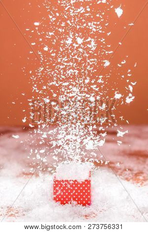 Сoral Gift On The Background With Snow.