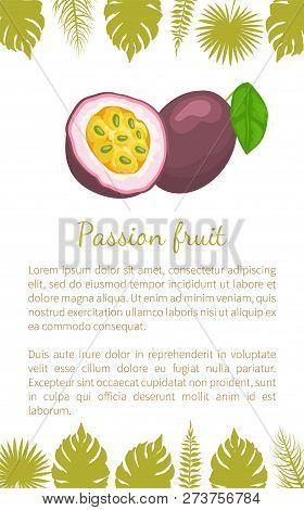 Passionfruit With Leaf, Exotic Juicy Fruit Vector Poster Text And Leaves. Maracuja, Parcha, Grenadil