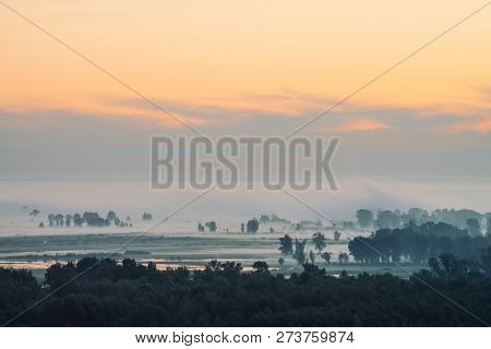 Mystic View On Forest Under Haze At Early Morning. Mist Among Tree Silhouettes Under Predawn Sky. Go