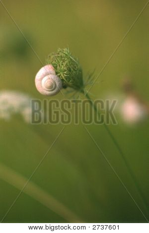 Прокрутки