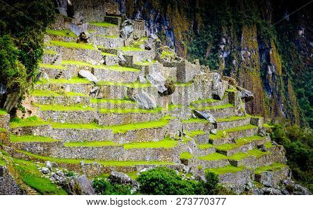 Amazing scenery of majestic ancient stone Machupicchu temple covered with grass on the background of rocky mountain