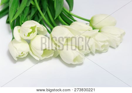 Bunch Of White Tulip Flowers On White Background. Blooning White Tulip. Selective Focus. Top View.