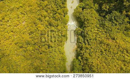 Aerial View, River In The Rainforest Among The Jungle Tropical Loboc River In The Rain Forest In Asi