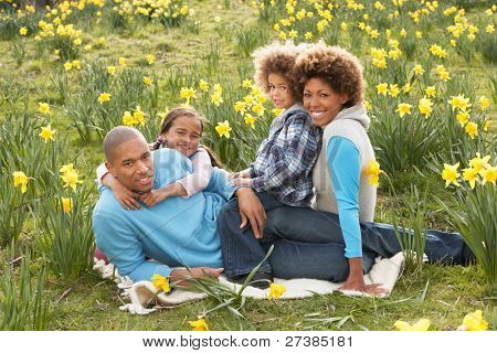 im Feld Frühling Narzissen entspannen Familie