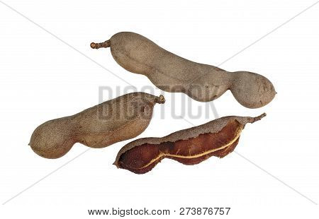 Tamarind (tamarindus Indica) Pod-like Fruit As Off The Tamarind Tree, A Leguminous Tree Native To Tr