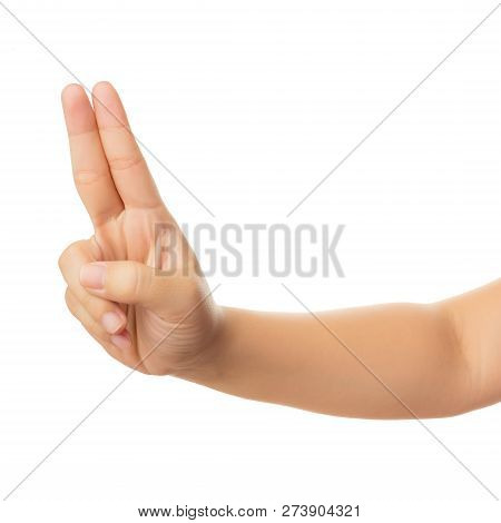 Human Hand Isolate On White Background