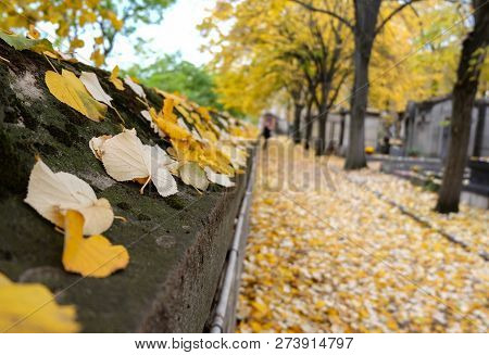 Pere Lachaise Cemetery In Paris, France. Autumn Lanscape