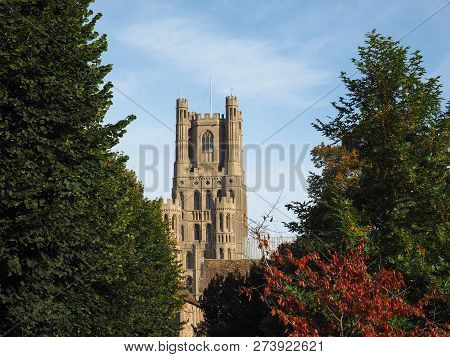 Ely Cathedral In Ely