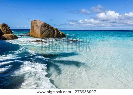 Seascape With Stones And Shadow From Palm And Waves