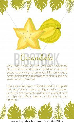 Carambola Or Starfruit Exotic Fruit Vector Poster With Text Sample And Palm Leaves. Tropical Edible 