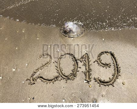 The Sighn 2019 On The Sand With Jelly Fish And The Wave.