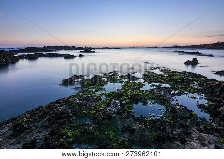 Golden Magic Sunset On A Rocky Beach With Green Moss In Porto. Portugal. Europe