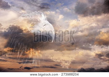 Sea Eagle Double Exposition With Sunset Sky