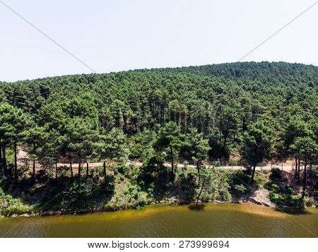 Aerial Drone View Of Aydos Forest Lake In Istanbul. Natural Life.
