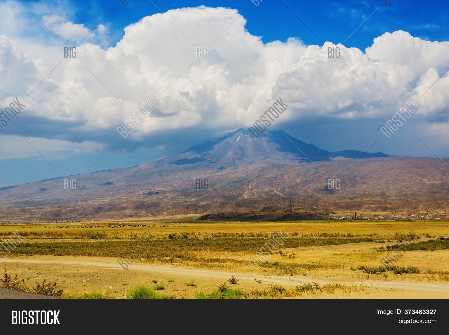 Agriculture Turkey. Image & Photo (Free Trial) | Bigstock