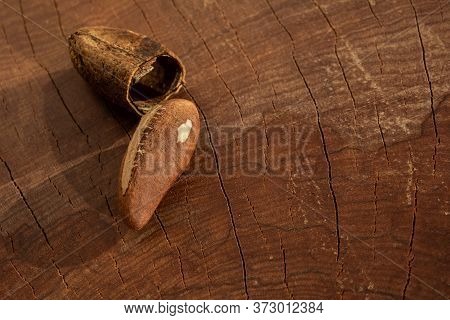 Chestnuts From Para, Also Known As Brazil Nuts (in Portuguese: Castanha-do-pará Or Castanha-do-brasi
